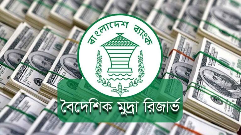 রিজার্ভ নেমেছে ৩০ বিলিয়ন ডলারের নীচে